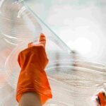 Leafy Environment Makes Window Cleaning In Hampstead Essential