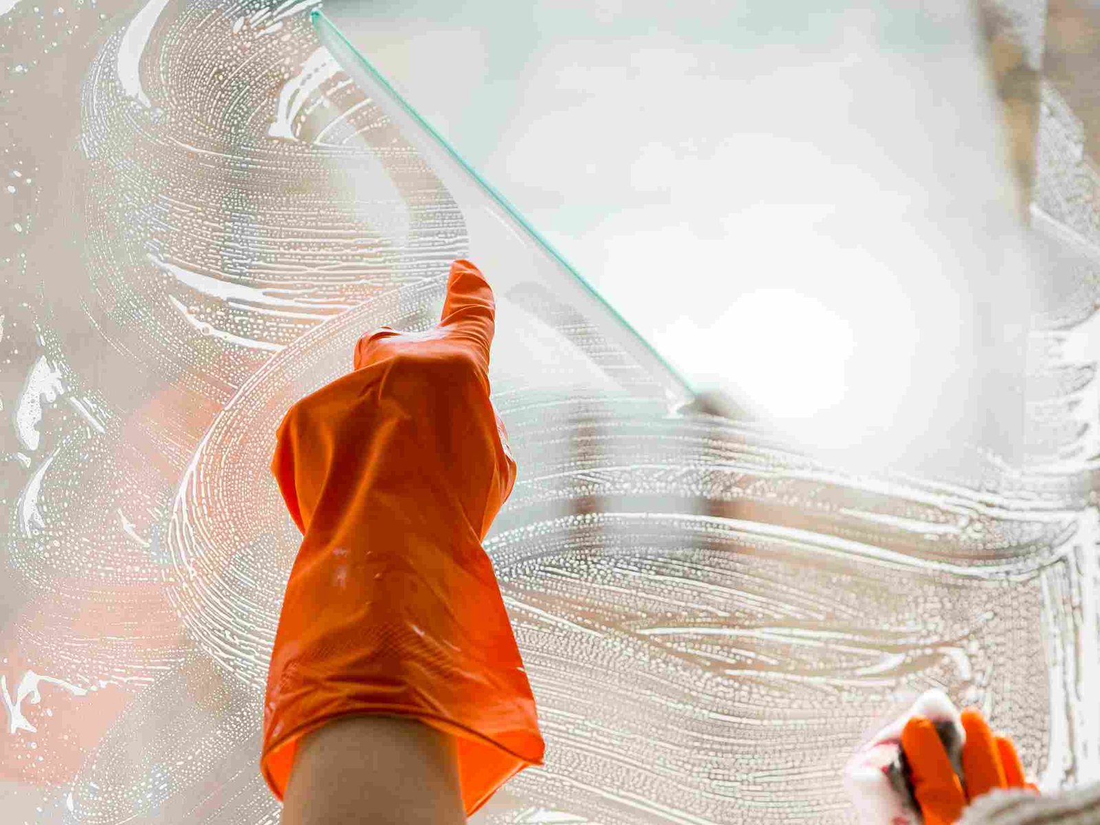 Leafy Environment Makes Window Cleaning In Hampstead Essential