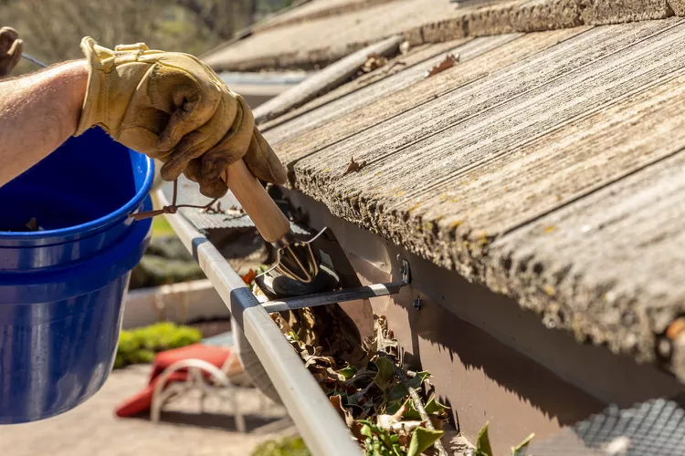 How Gutter Cleaning Services In Hampstead Preserve Heritage Homes