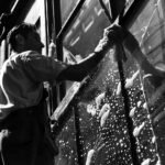 Window Cleaning Services In Chelsea: The Best Care For The Best Properties