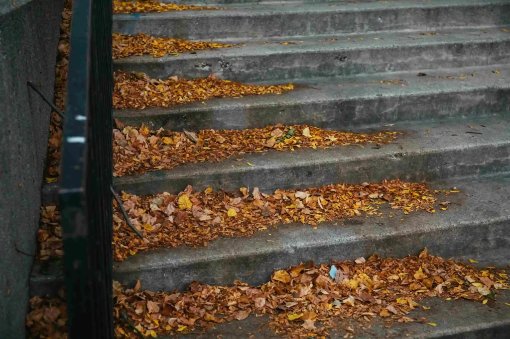 The Quiet Power Of Clean Gutters And Why Experts Matter