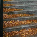 The Quiet Power Of Clean Gutters And Why Experts Matter