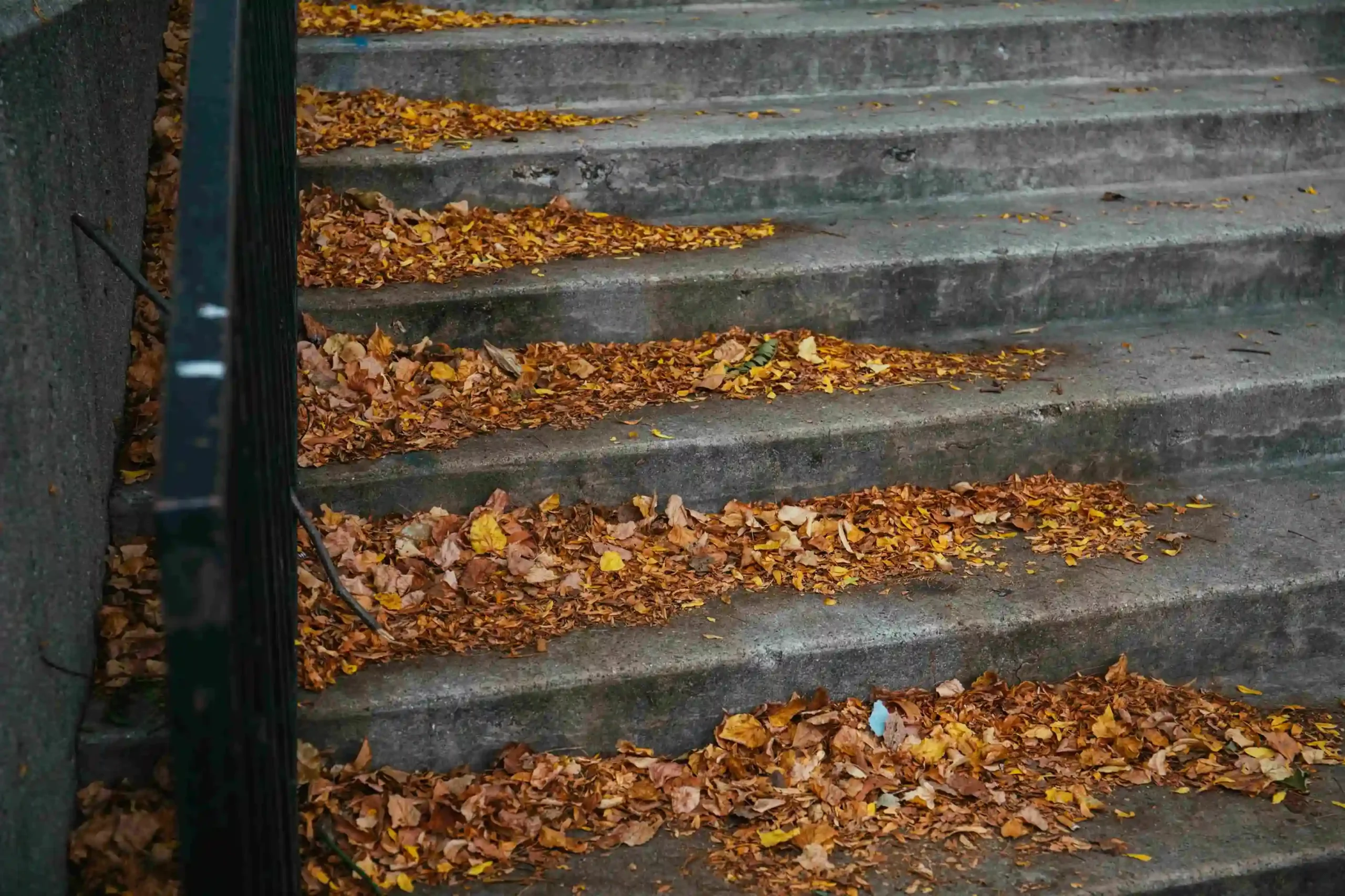 The Quiet Power Of Clean Gutters And Why Experts Matter